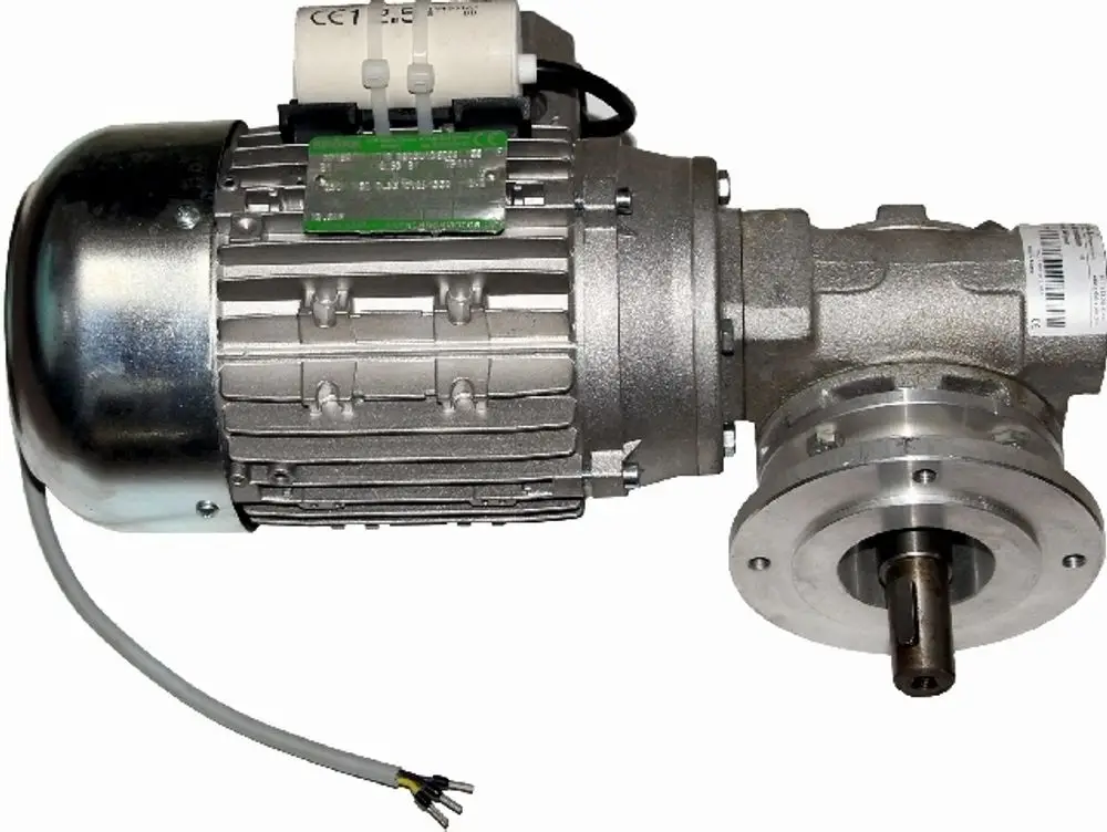 Wolf Motor für Rotationsaustragung, bestehend aus einem Gehäuse mit Anschlussdrähten und einer Welle, die für industrielle Anwendung konzipiert ist.